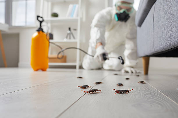Commercial Kitchen Cockroach Control in Posen
